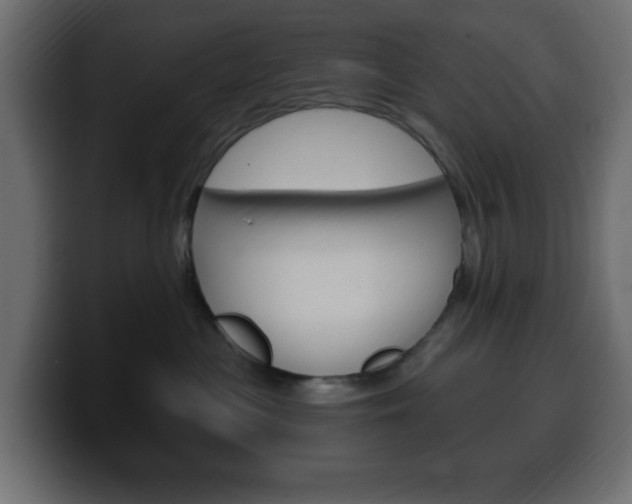 X0000100390477200806060837