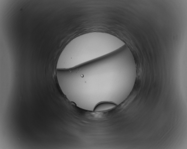X0000100390478200806060837