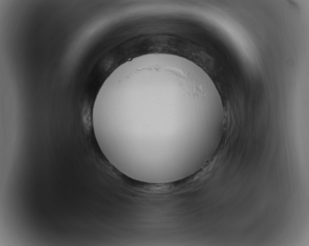 X0000100390479200806060837