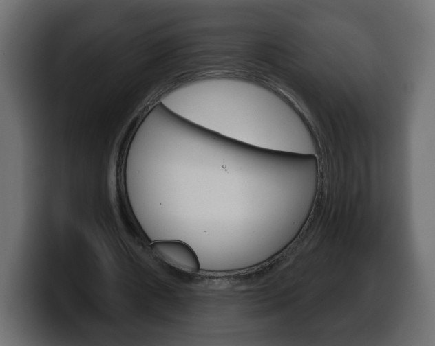 X0000100390482200806060837