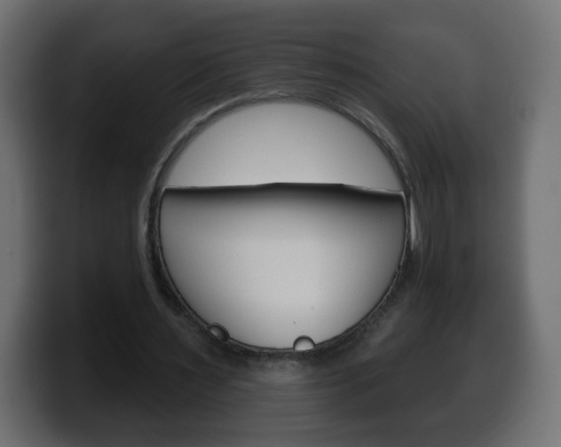 X0000100390483200806060837