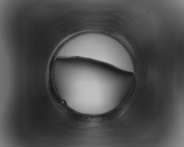 X0000100390484200806060837