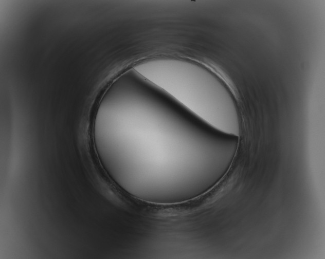X0000100390485200806060837