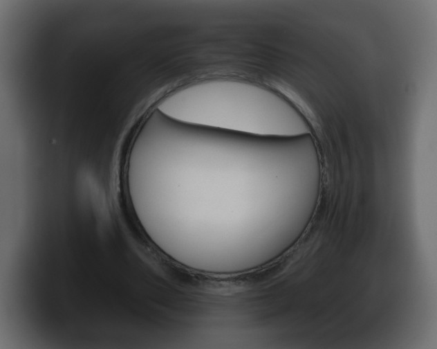 X0000100390486200806060837