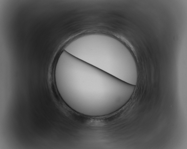 X0000100390487200806060837