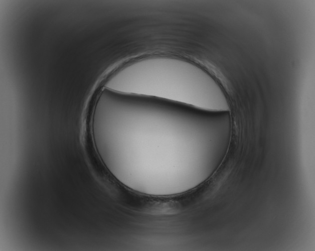X0000100390488200806060837
