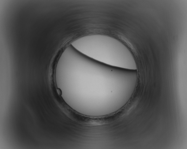 X0000100390490200806060836