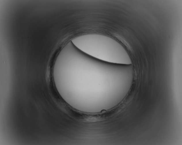 X0000100390494200806060836