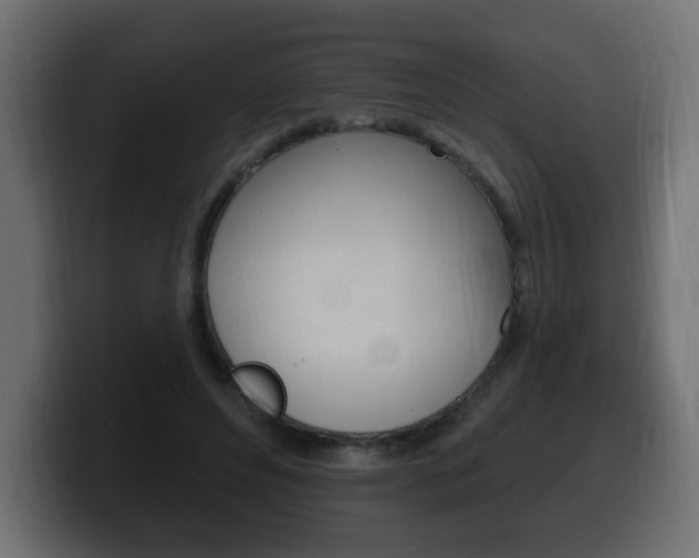X0000100390496200806060836