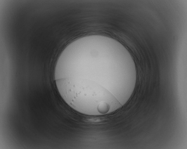 X0000100390502200806060836