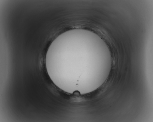 X0000100390503200806060836