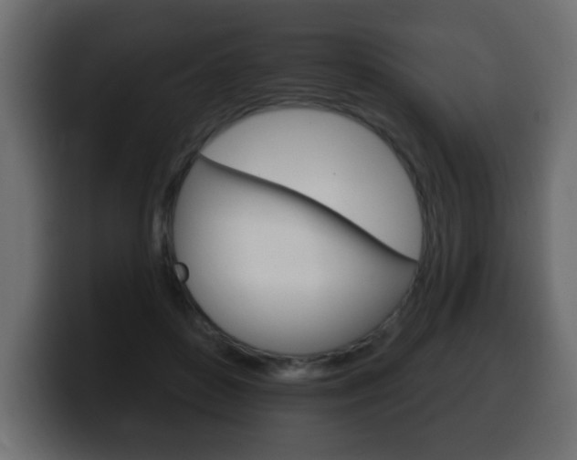 X0000100390504200806060836