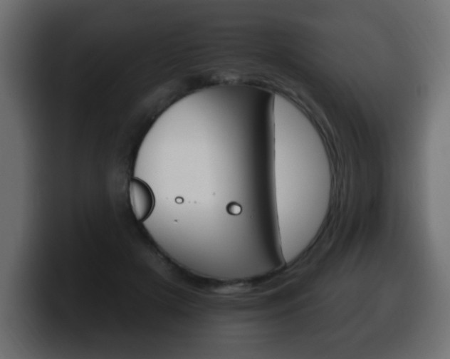 X0000100390505200806060836