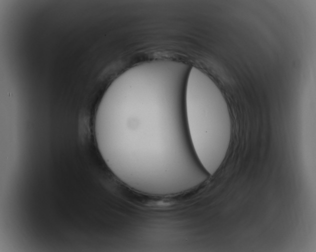 X0000100390506200806060836
