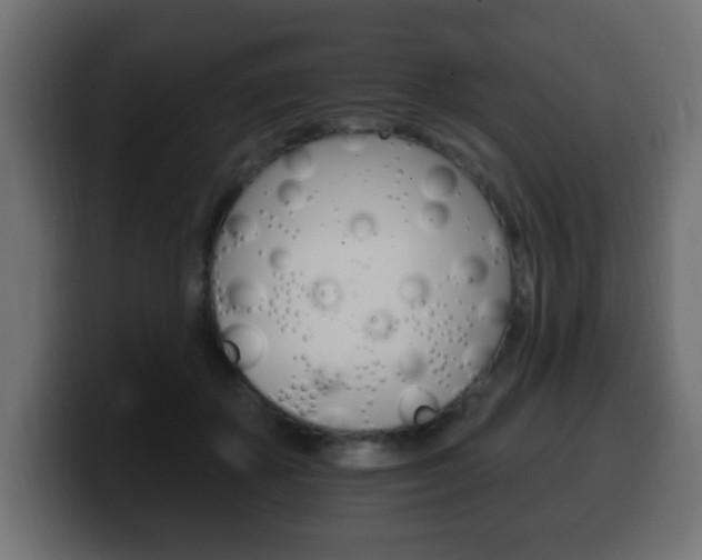X0000100390507200806060836