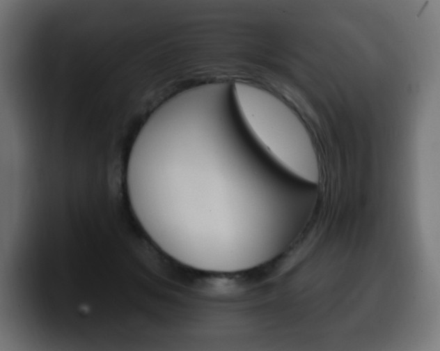 X0000100390509200806060836
