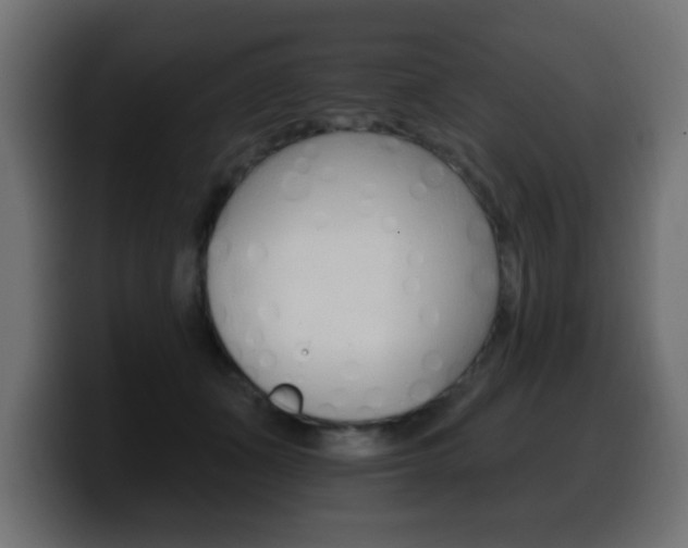 X0000100390511200806060836
