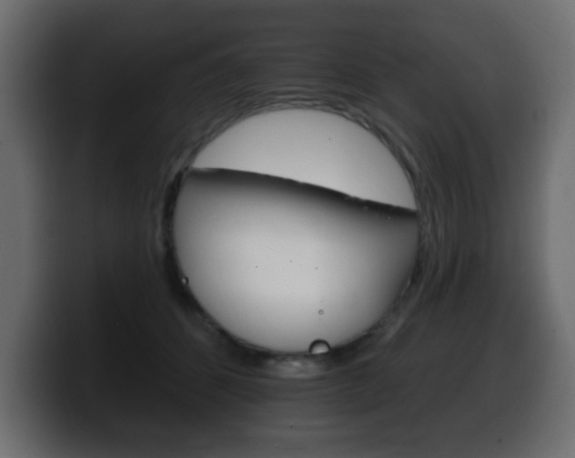 X0000100390512200806060836