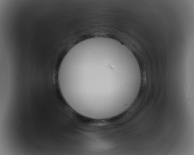 X0000100390514200806060836
