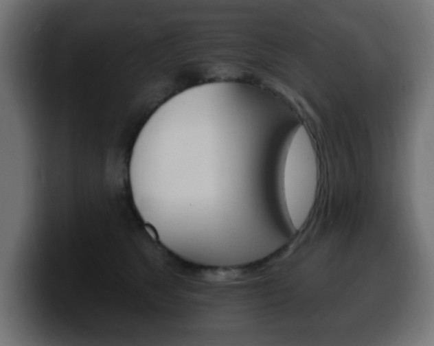 X0000100390517200806060836