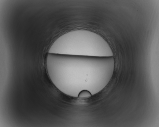 X0000100390518200806060836