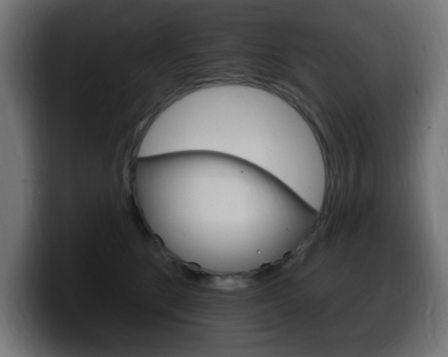 X0000100390520200806060836