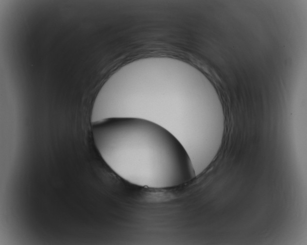 X0000100390521200806060836