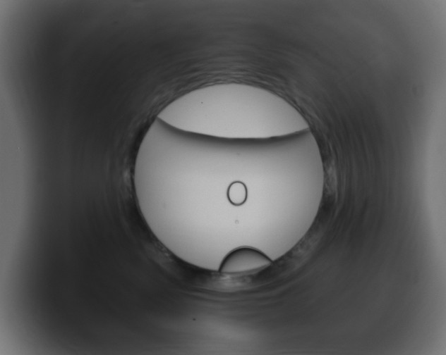 X0000100390522200806060836