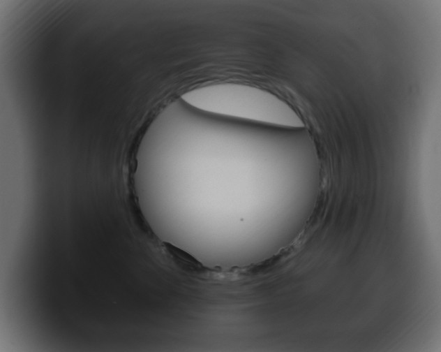 X0000100390524200806060836