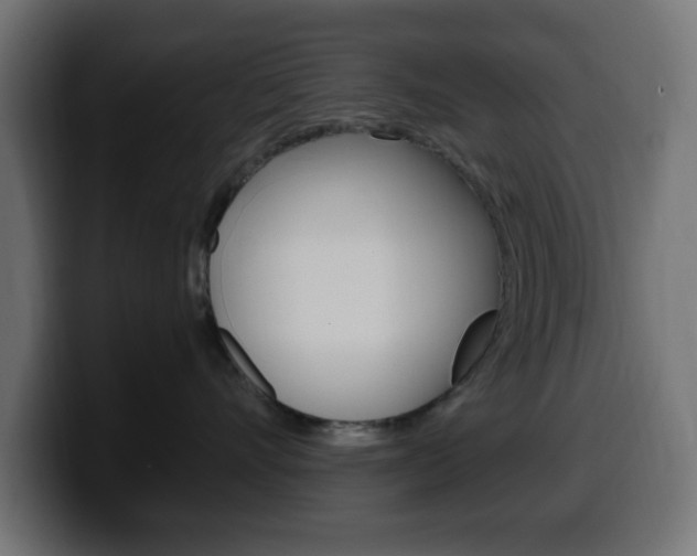 X0000100390528200806060836