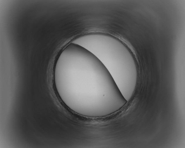 X0000100390529200806060835