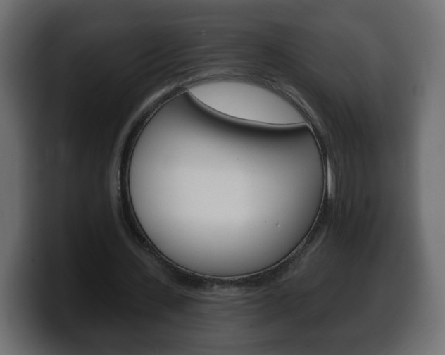 X0000100390531200806060835