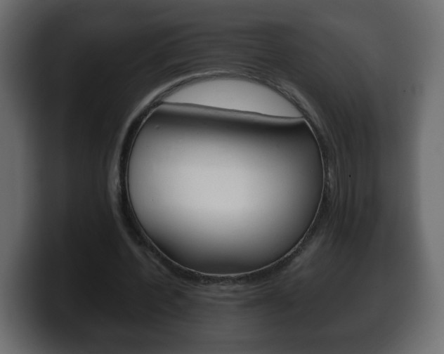 X0000100390532200806060835