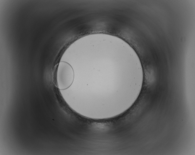 X0000100390534200806060835
