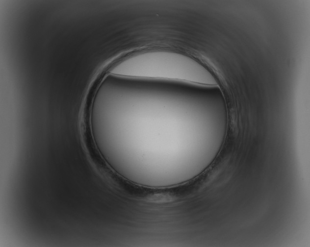 X0000100390536200806060835