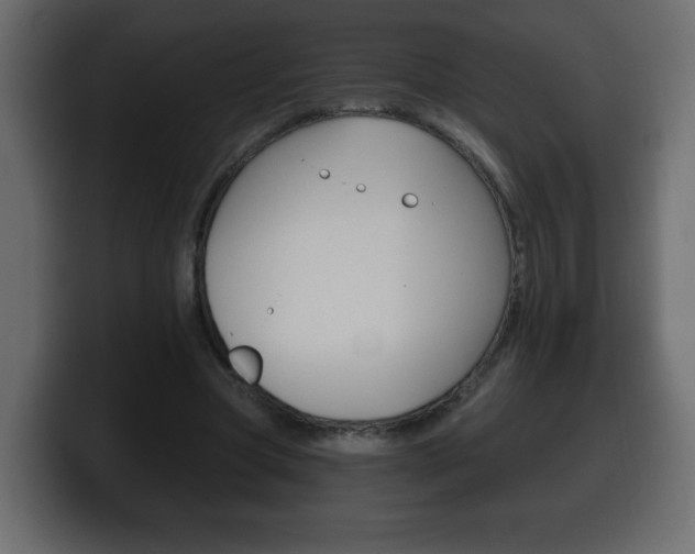 X0000100390537200806060835