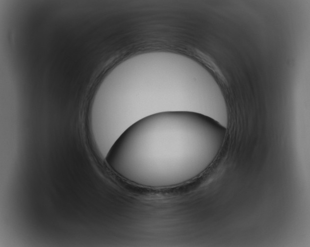 X0000100390538200806060835