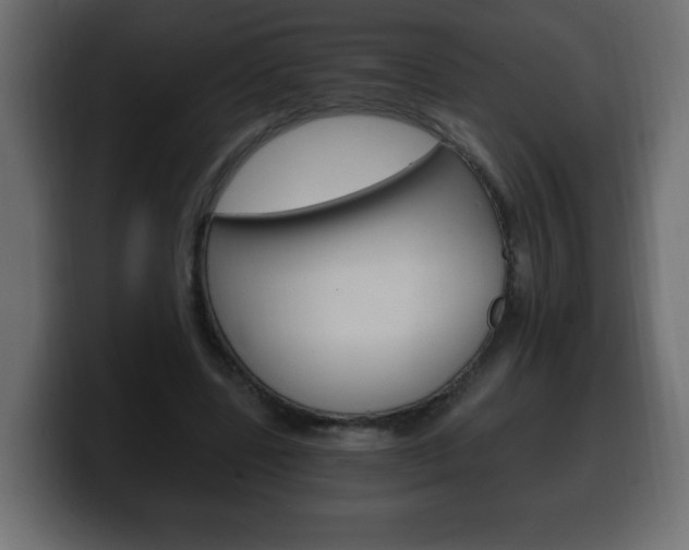 X0000100390539200806060835