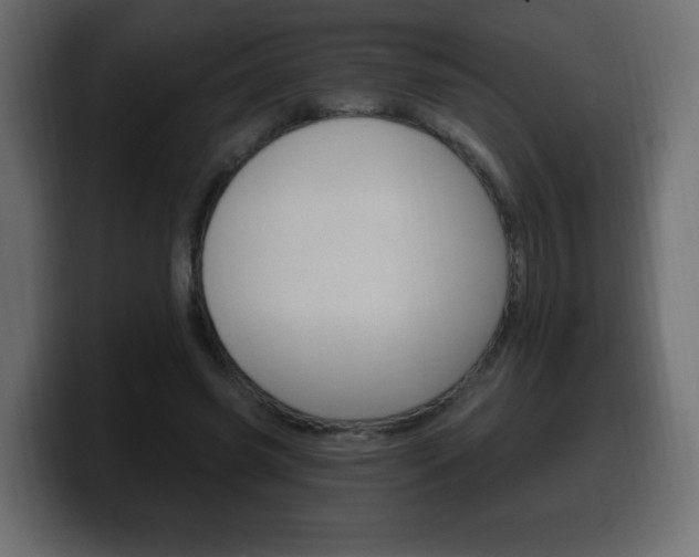 X0000100390541200806060835