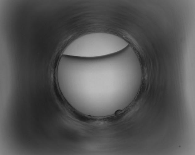 X0000100390542200806060836