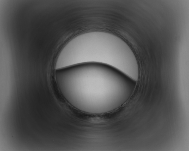 X0000100390544200806060836