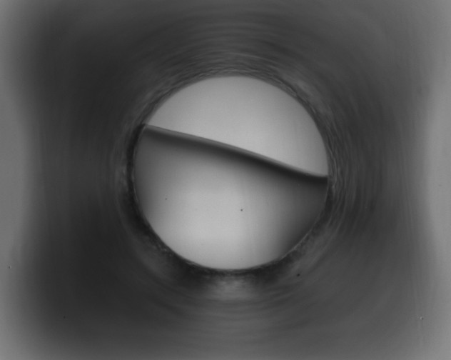 X0000100390547200806060836
