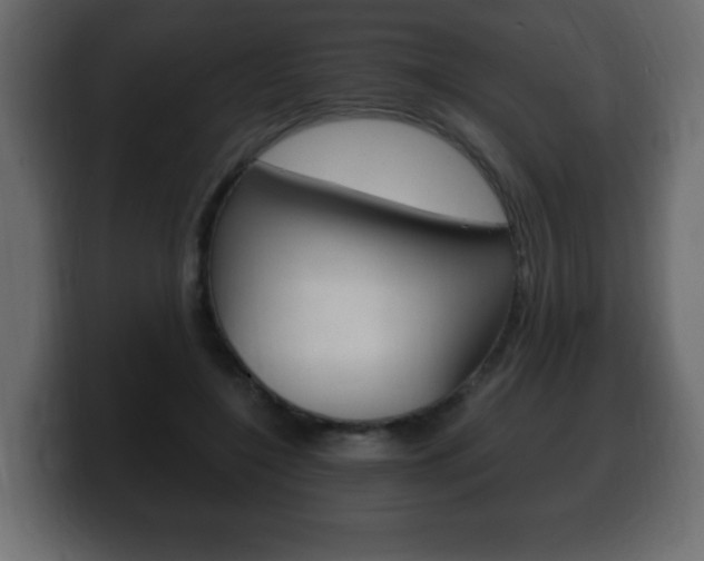 X0000100390548200806060836