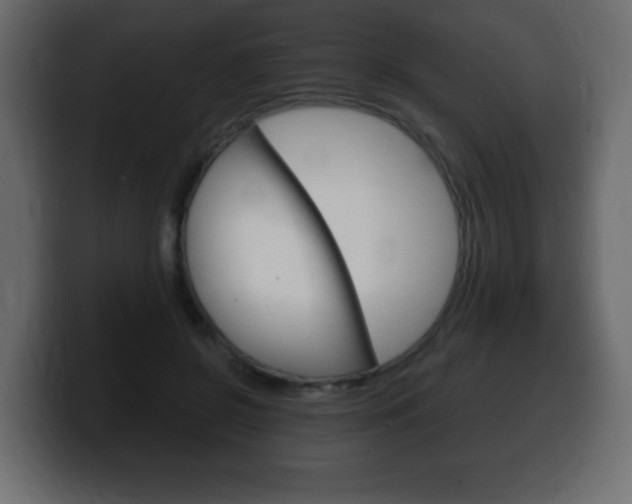 X0000100390550200806060836