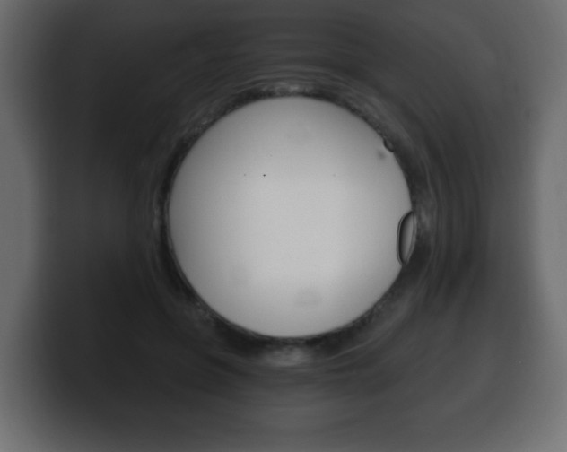 X0000100390551200806060836
