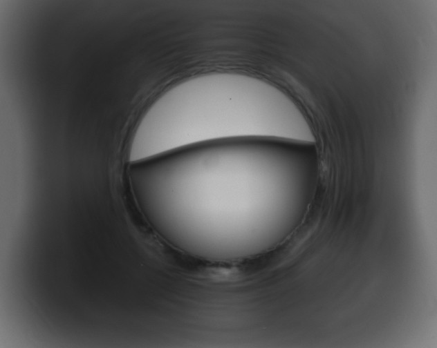 X0000100390552200806060836