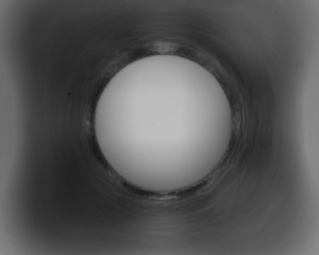 X0000100390553200806060836