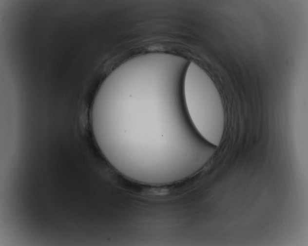 X0000100390554200806060836