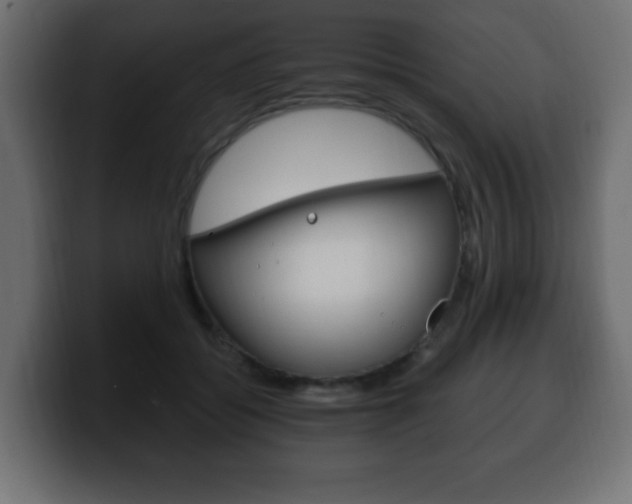 X0000100390556200806060836