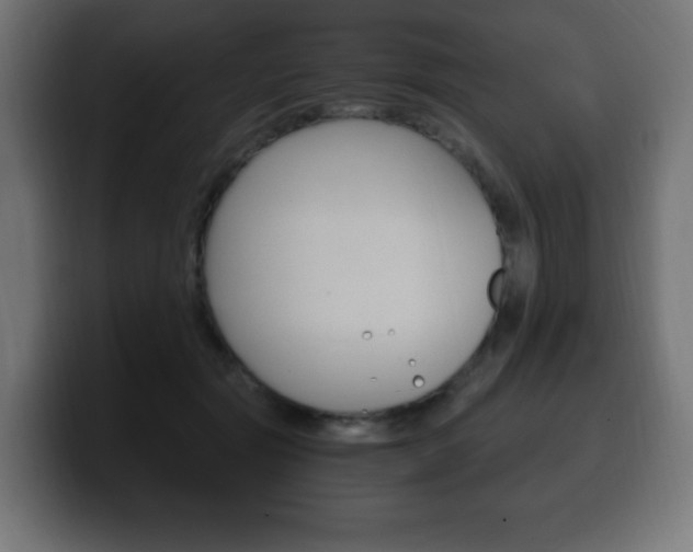 X0000100390557200806060836